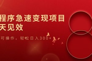 【2023.11.11】小程序急速变现项目，当天见效，小白可操作，轻松日入300+百度网盘免费下载-芽米宝库