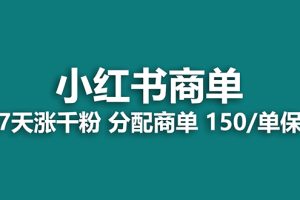 【2023.11.11】【蓝海项目】2023最强蓝海项目，小红书商单项目，没有之一！百度网盘免费下载-芽米宝库