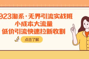 【2023.11.11】2023淘系·无界引流实战班：小成本大流量，低价引流快速拉新收割百度网盘免费下载-芽米宝库