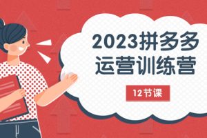 【2023.11.10】2023拼多多运营训练营：流量底层逻辑，免费+付费流量玩法（12节课）百度网盘免费下载-芽米宝库