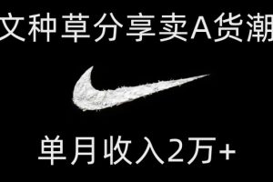 【2023.11.09】靠图文种草分享卖A货潮鞋，每天一小时，单月收入2万+百度网盘免费下载-芽米宝库