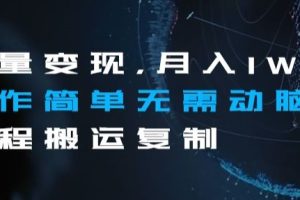 【2023.11.09】流量变现，月入1W+操作简单无需动脑全程搬运复制百度网盘免费下载-芽米宝库