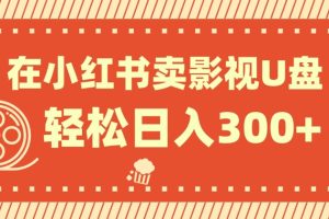 【2023.11.07】在小红书上卖影视U盘，轻松日入300+，操作简单，小白可轻松上手百度网盘免费下载-芽米宝库