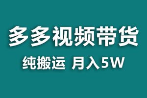 【2023.11.07】多多视频带货，靠纯搬运一个月搞5w，新手小白也能操作百度网盘免费下载-芽米宝库