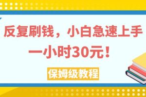 【2023.11.05】反复刷钱，小白急速上手，一个小时30元，实操教程。百度网盘免费下载-芽米宝库