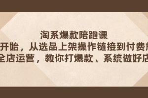 【2023.11.04】淘系爆款陪跑课 从选品上架操作链接到付费放大 全店运营 打爆款 系统做好店百度网盘免费下载-芽米宝库