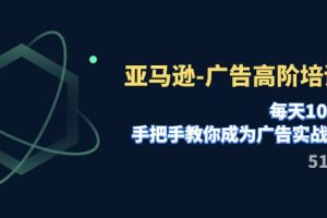 【2023.11.05】亚马逊-广告高阶培训班，每天10分钟，手把手教你成为广告实战高手（51节）百度网盘免费下载-芽米宝库