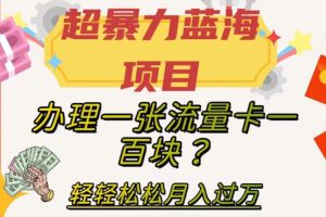 【2023.11.02】超暴力蓝海项目，办理一张流量卡一百块？轻轻松松月入过万，保姆级教程百度网盘免费下载-芽米宝库