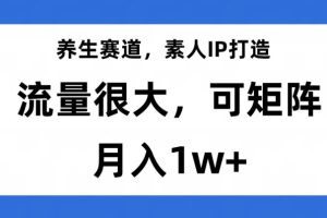 【2023.11.01】养生赛道，素人IP打造，流量很大，可矩阵，月入1w+百度网盘免费下载-芽米宝库