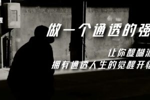 【2023.11.01】觉醒-做一个通透强者，让你醍醐灌顶，拥有通透人生，掌握强大的秘密百度网盘免费下载-芽米宝库
