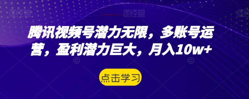 图片[1]-【2023.10.31】腾讯视频号潜力无限，多账号运营，盈利潜力巨大，月入10w+百度网盘免费下载-芽米宝库