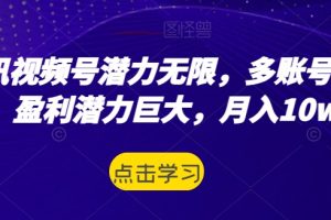 【2023.10.31】腾讯视频号潜力无限，多账号运营，盈利潜力巨大，月入10w+百度网盘免费下载-芽米宝库