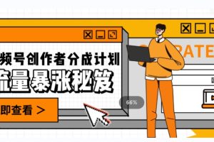 【2023.10.30】一条视频收益3000+，一条作品涨粉2000+，视频号流量爆炸的秘籍百度网盘免费下载-芽米宝库