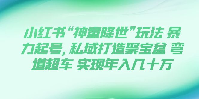 图片[1]-【2023.10.29】小红书“神童降世”玩法 暴力起号,私域打造聚宝盆 弯道超车 实现年入几十万百度网盘免费下载-芽米宝库