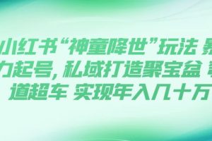 【2023.10.29】小红书“神童降世”玩法 暴力起号,私域打造聚宝盆 弯道超车 实现年入几十万百度网盘免费下载-芽米宝库