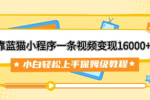 【2023.10.21】靠蓝猫小程序一条视频变现16000+小白轻松上手保姆级教程（附166G资料素材）百度网盘免费下载-芽米宝库