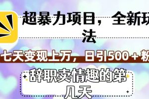 【2023.10.19】超暴利项目，全新玩法（辞职卖情趣的第几天），七天变现上万，日引500+粉百度网盘免费下载-芽米宝库