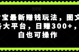 【2023.10.17】支付宝最新赚钱玩法，图文发到各大平台，日赚300+，小白也可操作百度网盘免费下载-芽米宝库