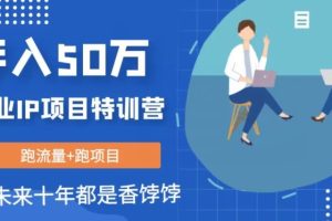 【2023.10.16】创业IP年入50W核心方法，未来10年最值得做的项目百度网盘免费下载-芽米宝库
