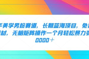 【2023.10.15】二手美学男粉赛道，长期蓝海项目，无脑矩阵操作一个月轻松暴力变现20000＋百度网盘免费下载-芽米宝库