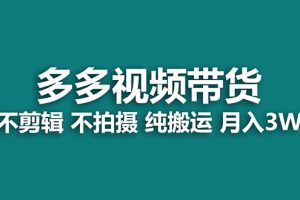 【2023.10.14】【蓝海项目】多多视频带货，纯搬运一个月搞了5w佣金，小白也能操作百度网盘免费下载-芽米宝库