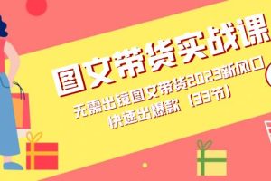 【2023.10.13】图文带货实战课：无需出镜图文带货2023新风口，快速出爆款（33节）百度网盘免费下载-芽米宝库