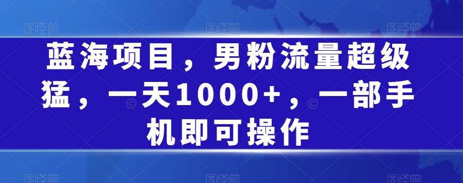 图片[1]-【2023.10.10】蓝海项目，男粉流量超级猛，一天1000+，一部手机即可操作百度网盘免费下载-芽米宝库