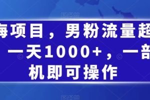 【2023.10.10】蓝海项目，男粉流量超级猛，一天1000+，一部手机即可操作百度网盘免费下载-芽米宝库