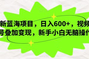 【2023.10.10】新蓝海项目，日入600+，视频号叠加变现，新手小白无脑操作百度网盘免费下载-芽米宝库