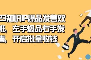 【2023.10.06】2023知识IP-爆品发售双阶班，左手爆品右手发售，开启批量收钱百度网盘免费下载-芽米宝库