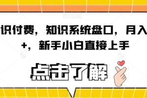 【2023.10.01】知识付费，知识系统盘口，月入1w+，新手小白直接上手百度网盘免费下载-芽米宝库