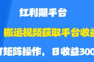 【2023.10.01】搬运视频获取平台收益，平台红利期，附保姆级教程百度网盘免费下载-芽米宝库