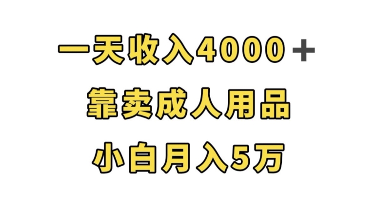 图片[1]-【2023.09.30】一天收入4000+，靠卖成人用品，小白轻松月入5万百度网盘免费下载-芽米宝库