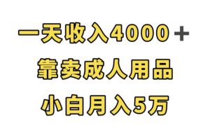 【2023.09.30】一天收入4000+，靠卖成人用品，小白轻松月入5万百度网盘免费下载-芽米宝库