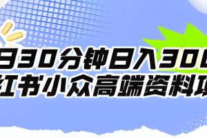 【2023.09.28】每日30分钟日入300＋小红书小众高端资料项目百度网盘免费下载-芽米宝库