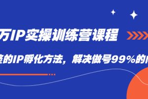 【2023.09.25】百万IP实战训练营课程，完整的IP孵化方法，解决做号99%的问题百度网盘免费下载-芽米宝库