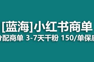 【2023.09.25】2023蓝海项目，小红书商单，快速千粉，长期稳定，最强蓝海没有之一百度网盘免费下载-芽米宝库