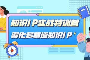 【2023.09.23】知识IP实战特训营，​孵化-多赛道知识IP（33节课）百度网盘免费下载-芽米宝库