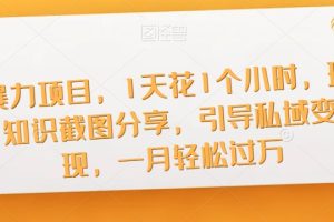 【2023.09.24】暴力项目，1天花1个小时，玩知识截图分享，引导私域变现，一月轻松过万【截图】百度网盘免费下载-芽米宝库