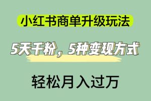 【2023.09.22】小红书商单升级玩法，5天千粉，5种变现渠道，轻松月入1万+百度网盘免费下载-芽米宝库