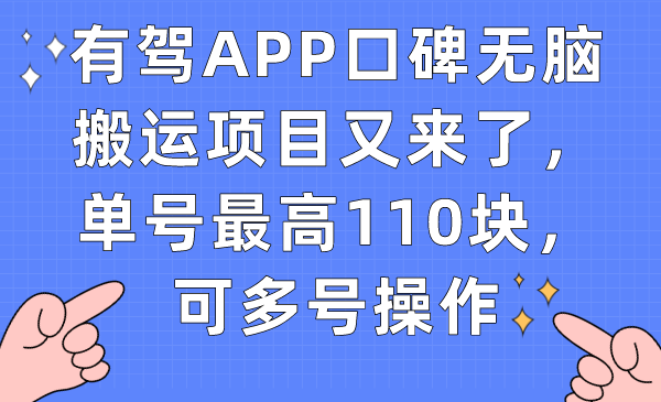 图片[1]-【2023.09.22】有驾APP口碑无脑搬运项目又来了，单号最高110块，可多号操作百度网盘免费下载-芽米宝库