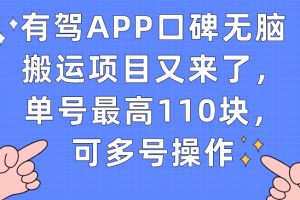 【2023.09.22】有驾APP口碑无脑搬运项目又来了，单号最高110块，可多号操作百度网盘免费下载-芽米宝库