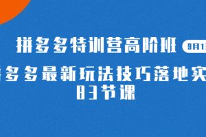 【2023.09.21】2023拼多多·特训营高阶班【9月13日更新】拼多多最新玩法技巧落地实操-83节百度网盘免费下载-芽米宝库