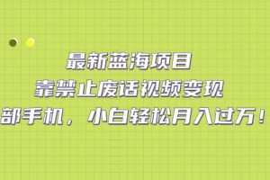 【2023.09.19】最新蓝海项目，靠禁止废话视频变现，一部手机，小白轻松月入过万！百度网盘免费下载-芽米宝库