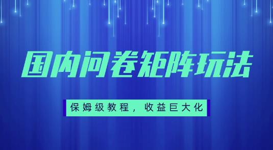 图片[1]-【2023.09.14】保姆级教程，国内问卷矩阵玩法，轻松赚收益百度网盘免费下载-芽米宝库