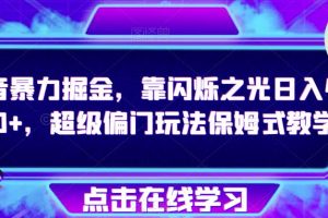【2023.09.10】抖音暴力掘金，靠闪烁之光日入4000+，超级偏门玩法保姆式教学百度网盘免费下载-芽米宝库