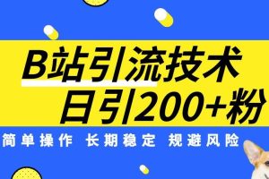 【2023.09.09】B站引流技术：每天引流200精准粉，简单操作，长期稳定，规避风险百度网盘免费下载-芽米宝库