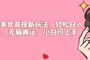 【2023.09.08】比基尼美女变现新玩法，轻松日入500+，无脑搬运，小白可上手百度网盘免费下载-芽米宝库