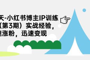 【2023.09.08】28天-小红书博主IP训练营（第3期）实战经验，快速涨粉，迅速变现百度网盘免费下载-芽米宝库