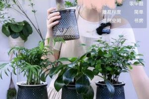 【2023.09.08】小众细分类目，一个月卖货超1000万！百度网盘免费下载-芽米宝库